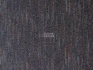 Грязезащитные покрытия Vebe Arco Pc Arco 70 фото 1 | FLOORDEALER